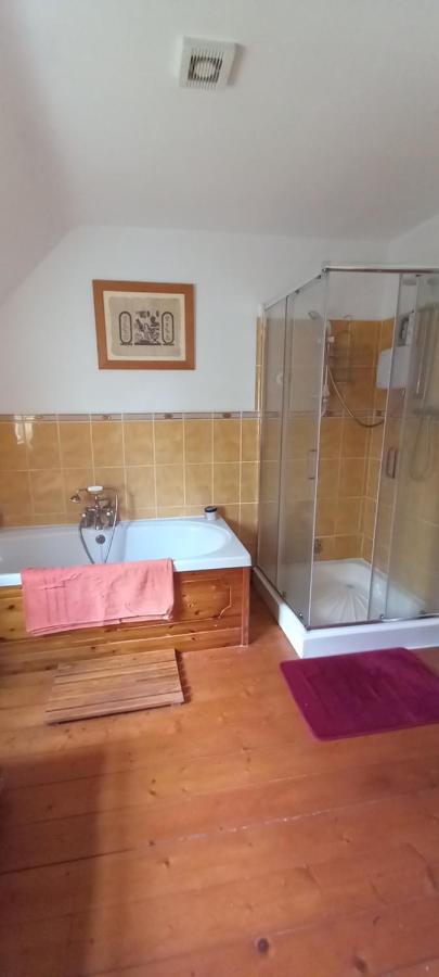 Large Family Home In Wexford Marys B&B Enniscorthy Buitenkant foto