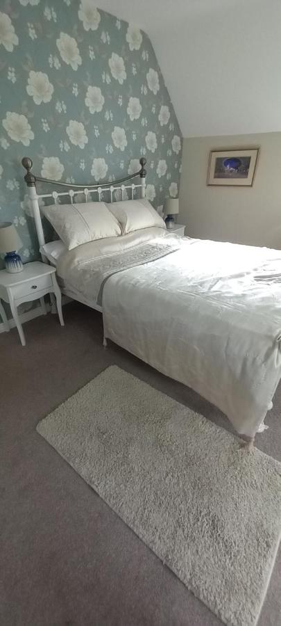 Large Family Home In Wexford Marys B&B Enniscorthy Buitenkant foto
