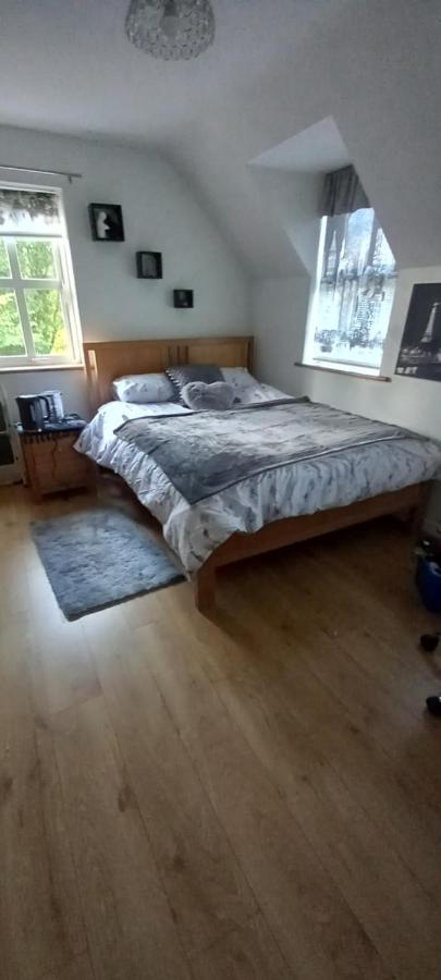 Large Family Home In Wexford Marys B&B Enniscorthy Buitenkant foto