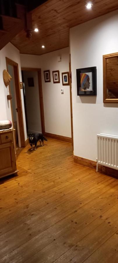 Large Family Home In Wexford Marys B&B Enniscorthy Buitenkant foto
