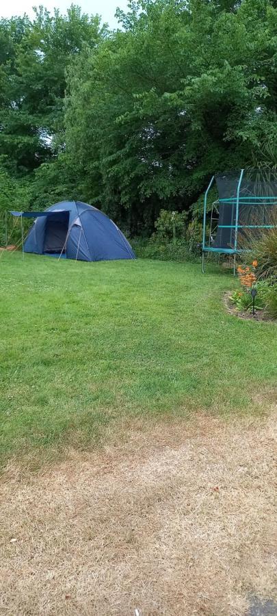 Large Family Home In Wexford Marys B&B Enniscorthy Buitenkant foto
