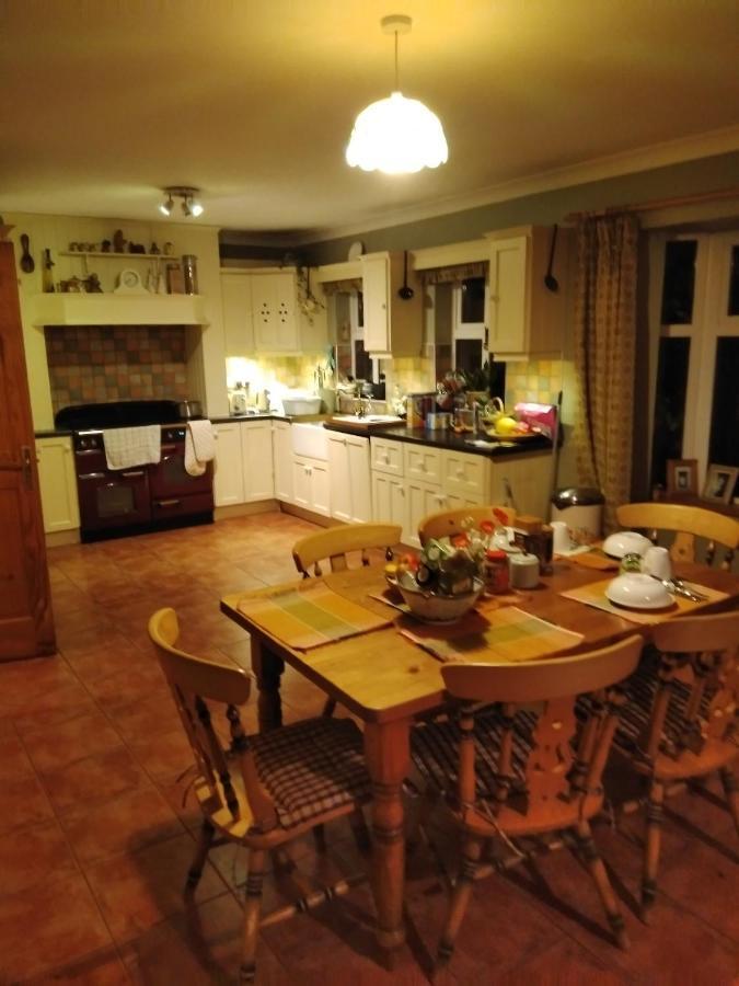 Large Family Home In Wexford Marys B&B Enniscorthy Buitenkant foto